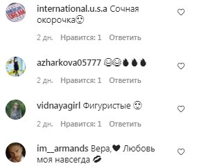 Коментарі на пост Віри Брежнєвої в Instagram