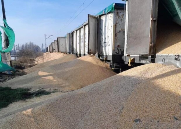Поляки висипали українське зерно, фото із соцмереж
