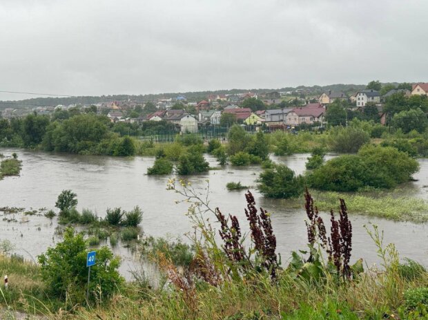 Потоп во Львове