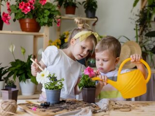 Полив цветов, фото: freepik