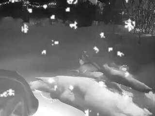 Татьяна Навка