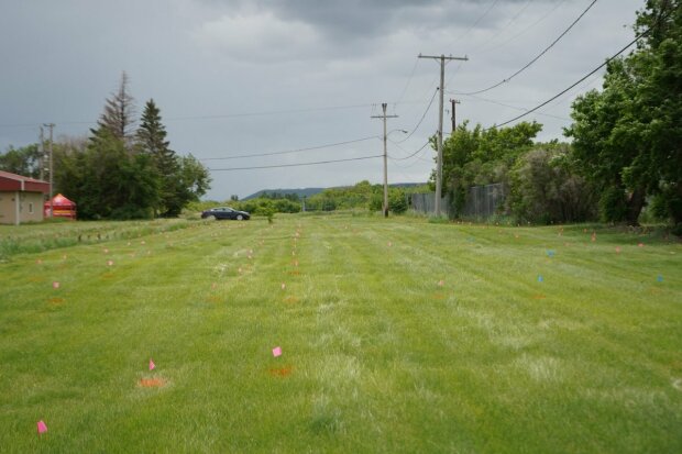 католицька школа-інтернат Камлупса