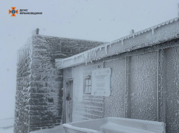 Картопти засипає снігом