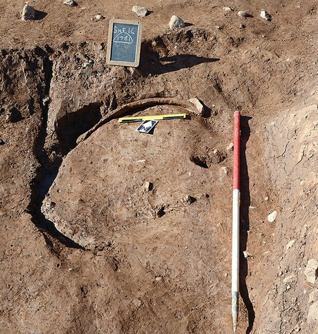 Археологічні розкопки