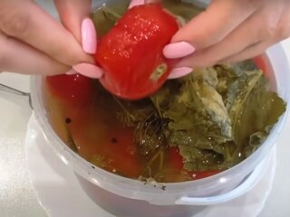 Квашенные помидоры, кадр из видео