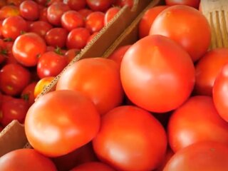 Помідори