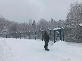 Паркан Естонії на кордоні з рф, фото з вільних джерел