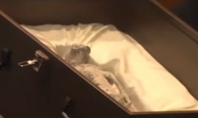 Мумія НЛО, кадр з відео