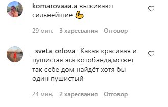 Скриншот комментариев к сообщению " Это Запорожье"