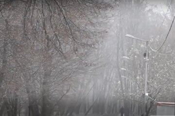 Погода в Украине, фото: кадр из видео