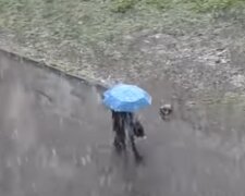 Погода