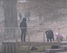 Погода