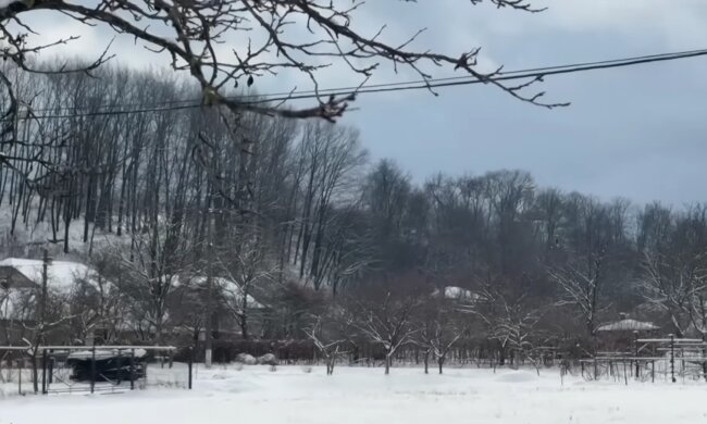 Погода, зима, снег, морозы