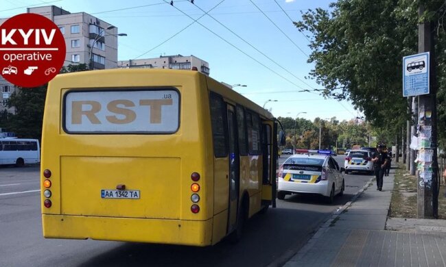 Маршрутник-грошелюб скалічив жінку: що трапилося