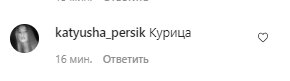 Коментарі зі сторінки Насті Каменських в Instagram