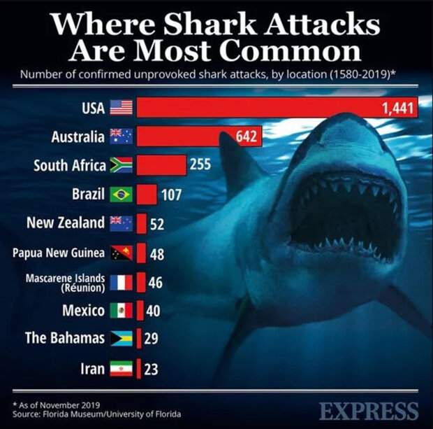 статистика нападения акул