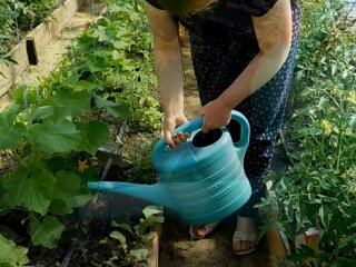 подкормка огурцов