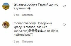 Комментарии на пост Лидии Таран в Instagram
