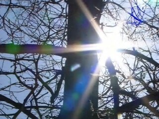 весеннее солнце