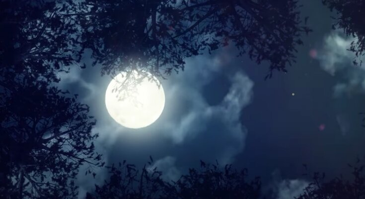 Коридор Затмений