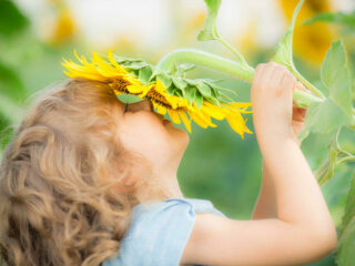 Які запахи перестає відчувати заражений Covid-19