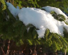 Погода, потепління