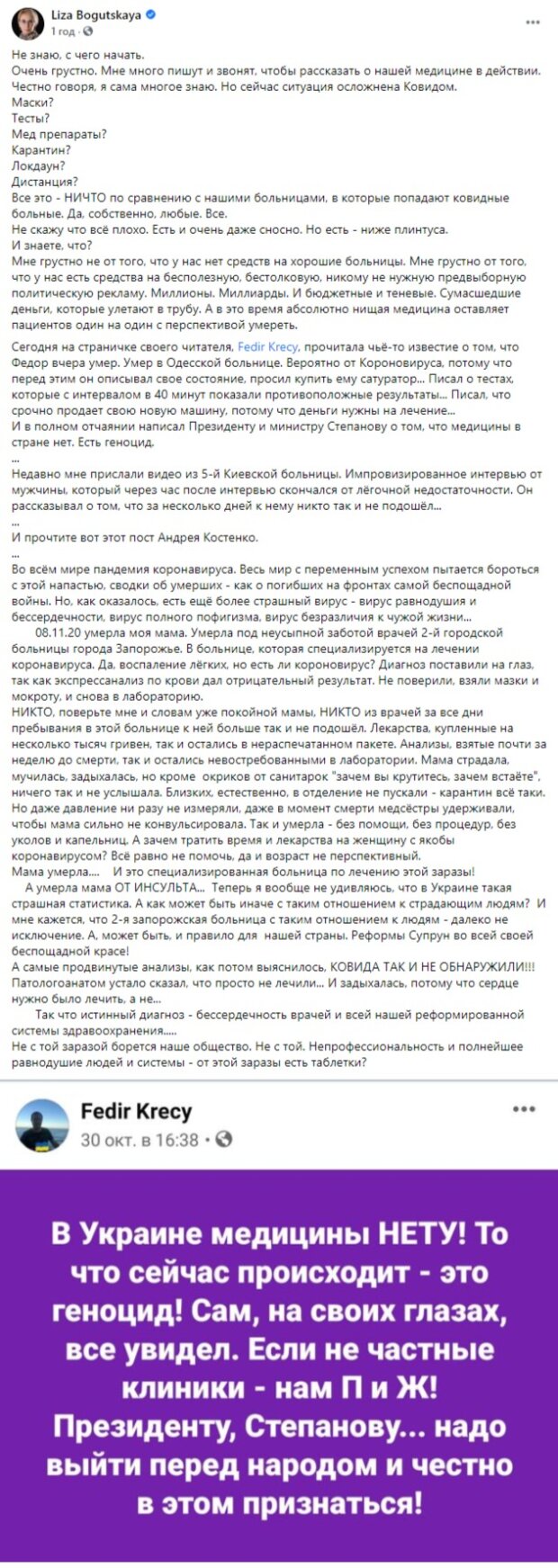 пост Лизы Богуцкой в Фейсбук