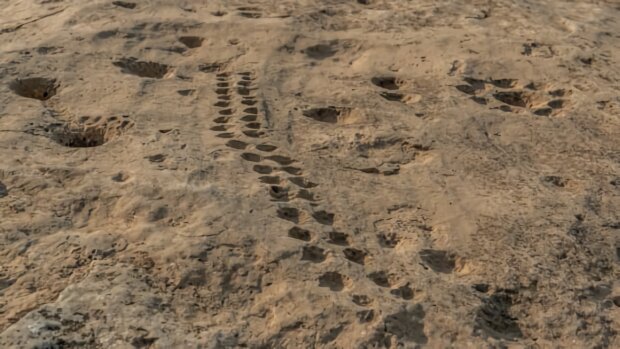 В Катаре нашли таинственные знаки