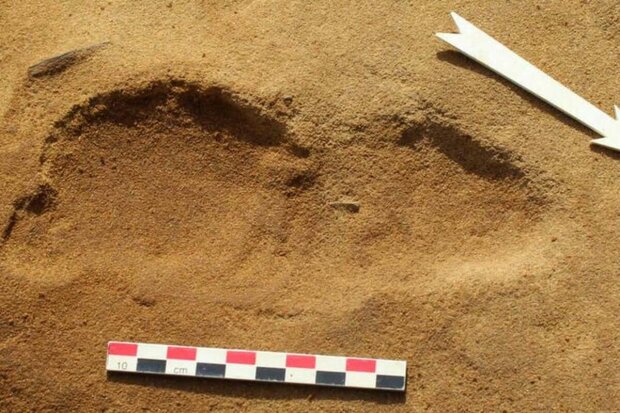 Археологические раскопки