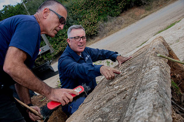 Саркофаги в Ізраїлі