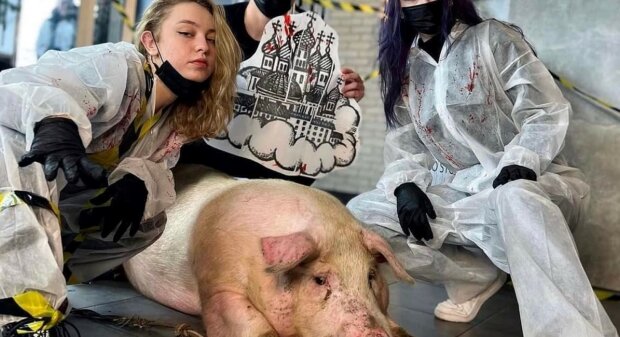 Київський тату-салон вирішив набивати татуювання свині