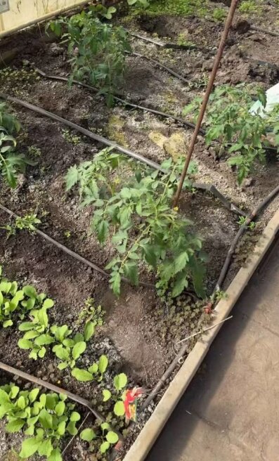 Скрин публікації Олі Полякової