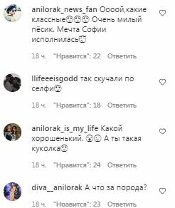 Коментарі на пост Ані Лорак в Instagram