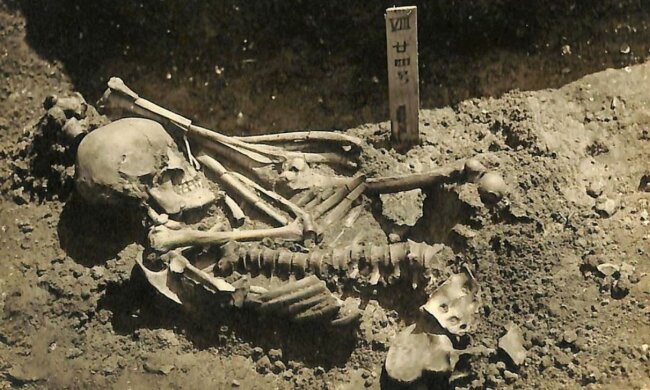 жертва нападу акули 3000 років тому