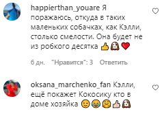 Комментарии на пост Оксаны Марченко в Instagram