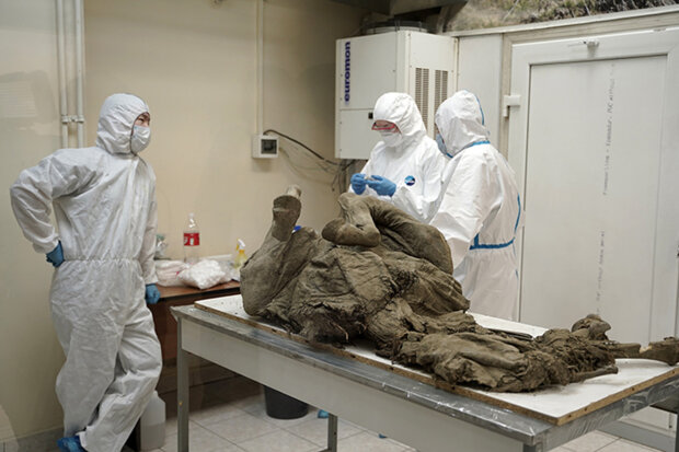 Вчені витягнуть віруси зомбі з трупів древніх тварин