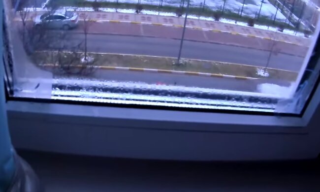 Окна, конденсат, плесень