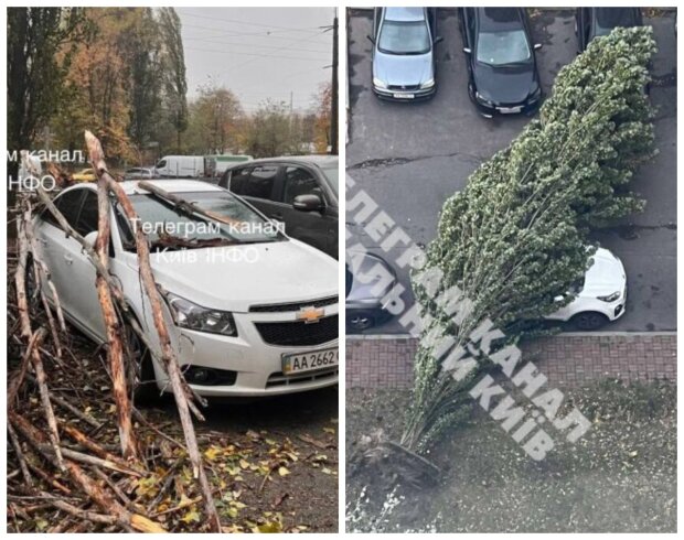 Последствия непогоды в Киеве