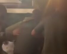 ТЦК, мобилизация