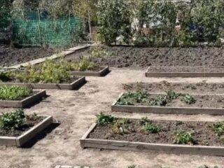 Огород: скрин из сети