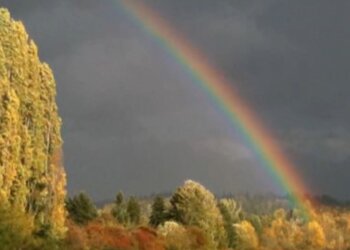 Погода