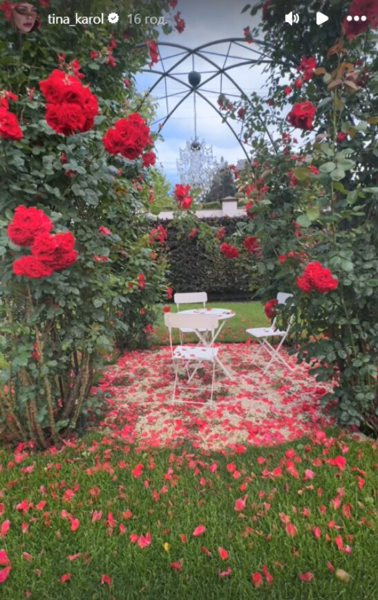 Скрин публикации Тины Кароль