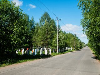 Людям потрібні ліки проти коронавірусу, а не асфальтована дорога на кладовищі