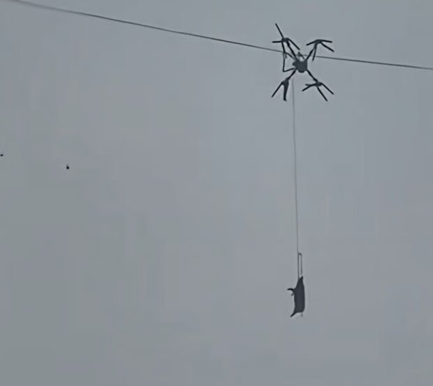 Свиня на дроні викликала масові відключення світла