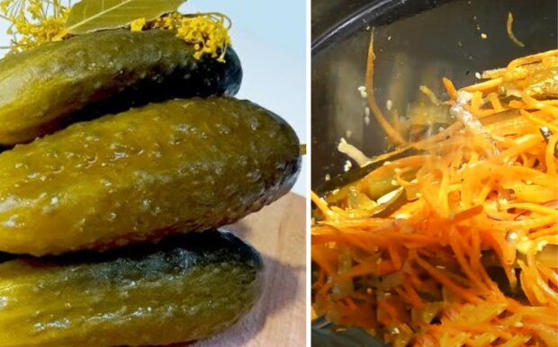 Салат із солінь, кадр з відео