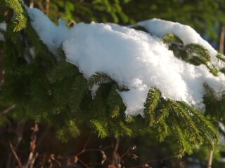 Погода, потепління
