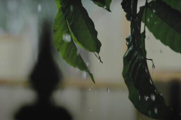 Погода