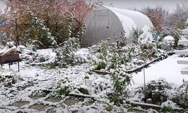 Огород, зима