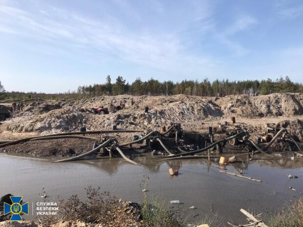 СБУ змело намивачів бурштину