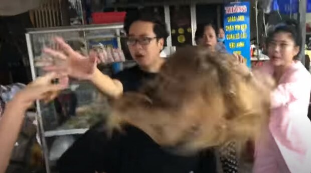 Одеська модель закрутила роман з одруженим